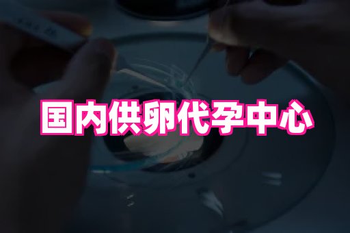 深圳助孕网站 1