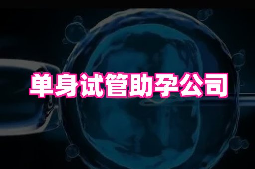 深圳助孕网站 2