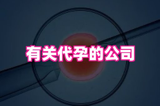 深圳助孕网站 3